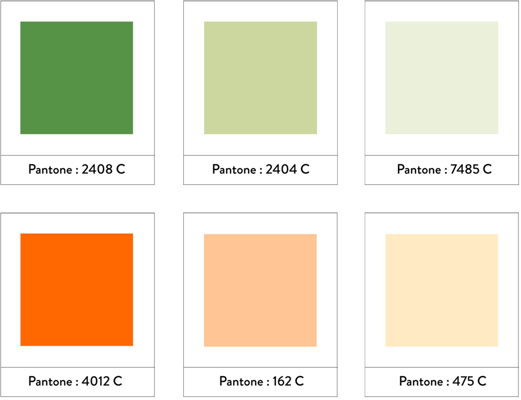 Palette colorée de Toulouse Demain, imaginée par Vingt Mille Volts