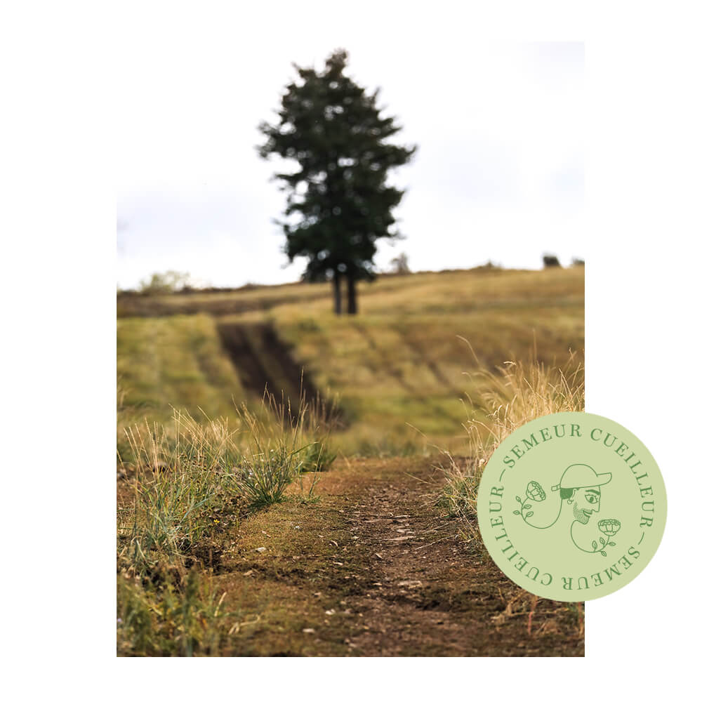 Post Linkedin pour Toulouse Demain créé par le studio Vingt mille Volts