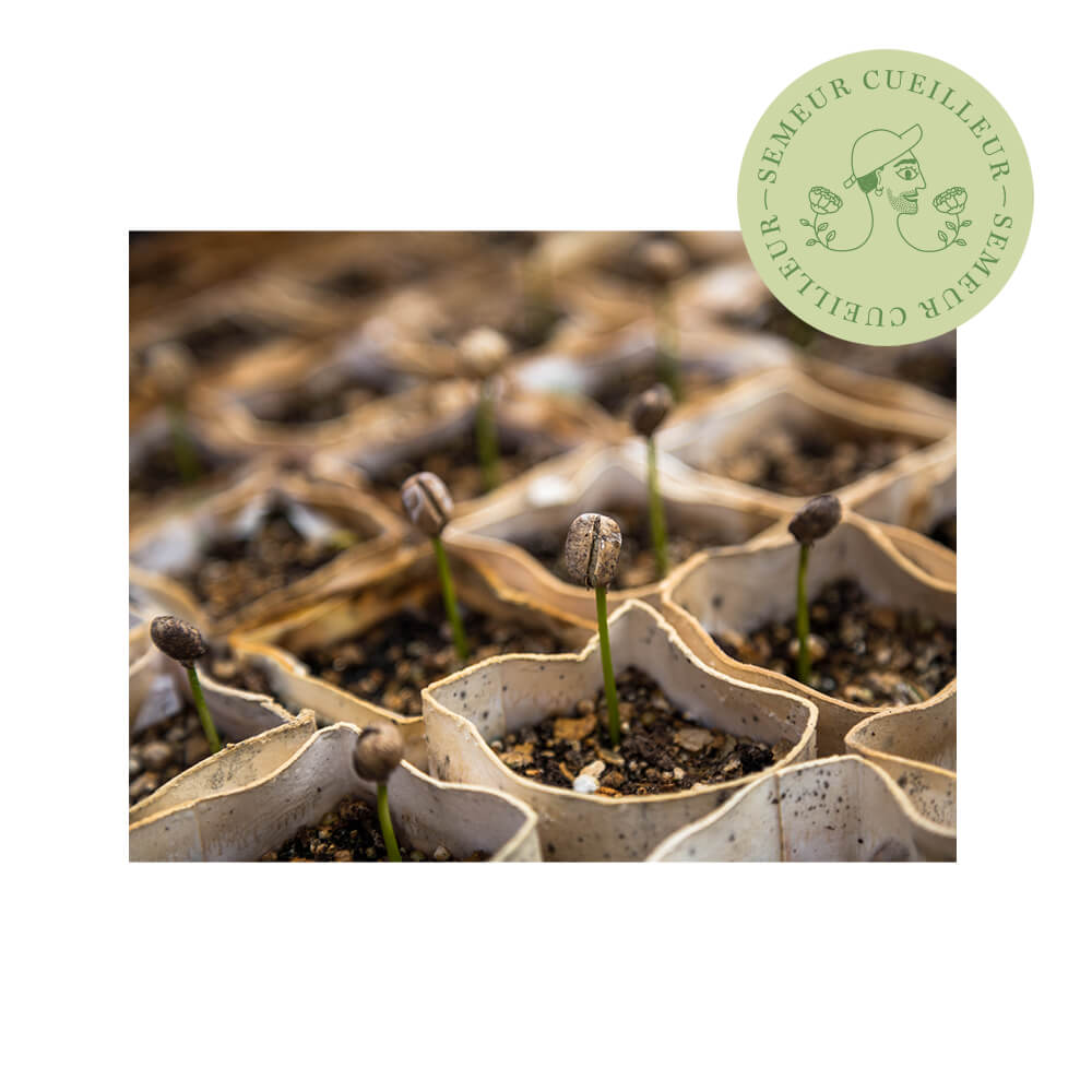 Tote bag Toulouse Demain avec logotype créé par Vingt Mille Volts