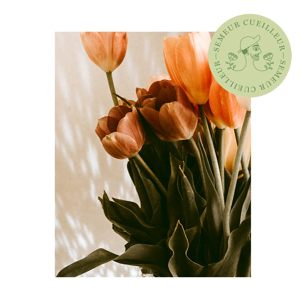 kakemono de Toulouse Demain créé par le studio Vingt Mille Volts